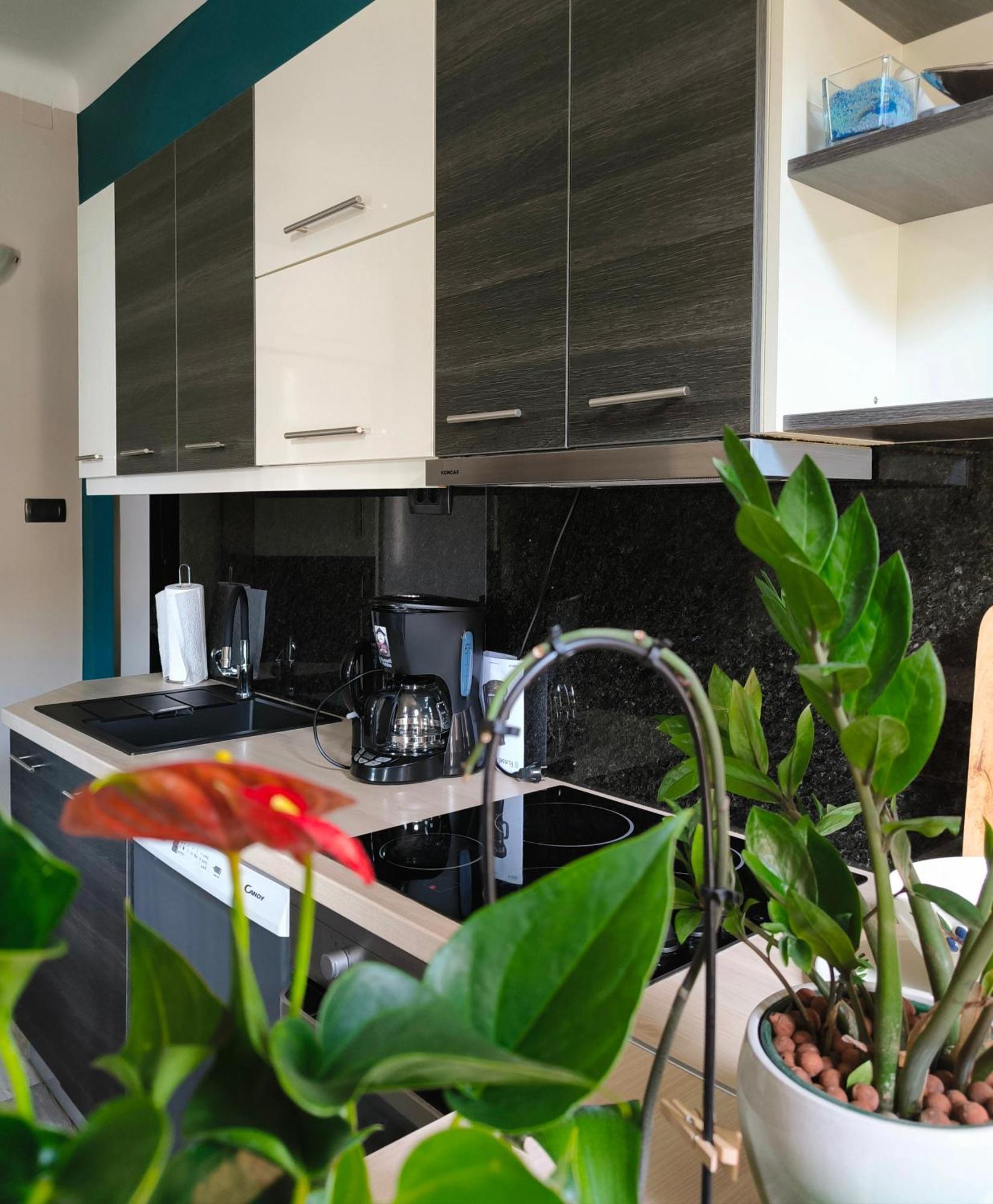 Urban Villa Apartment Abbázia Kültér fotó
